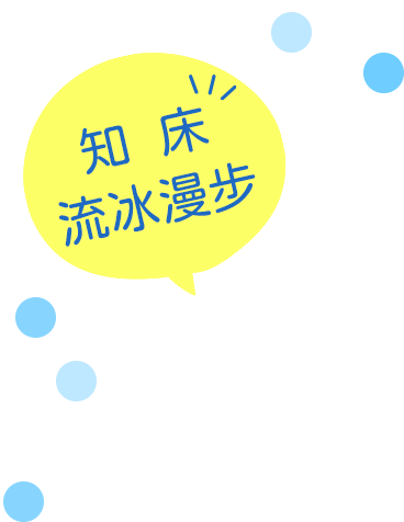 知床流冰漫步