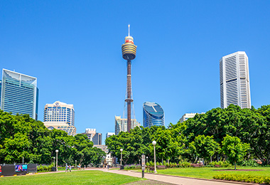 從樹蔭茂密的海德公園看白天的雪梨塔