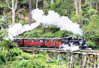 森林裡木棧道上，一輛火車有著冒煙的黑色火車頭，紅色的車身載滿人