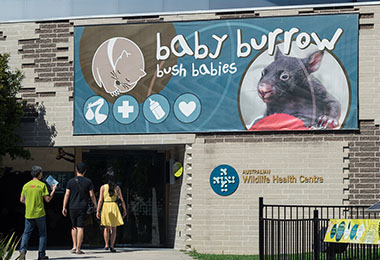 野生動物園的入口，上面有Baby burrow的字